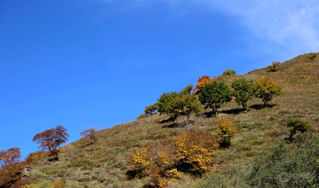 河北坝上四县gdp_河北坝上