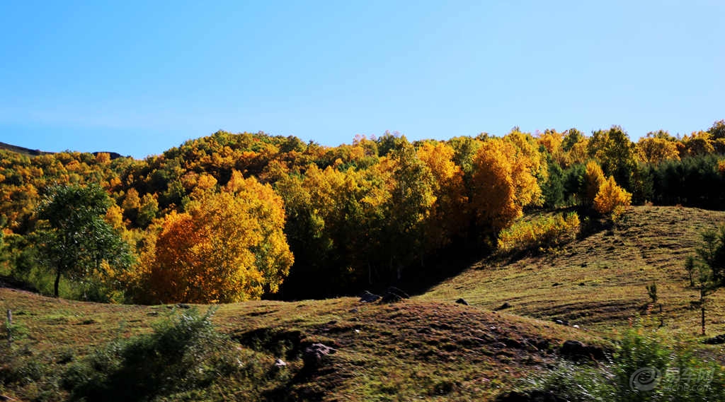 河北坝上四县gdp_河北坝上