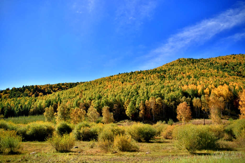 河北坝上四县gdp_河北坝上
