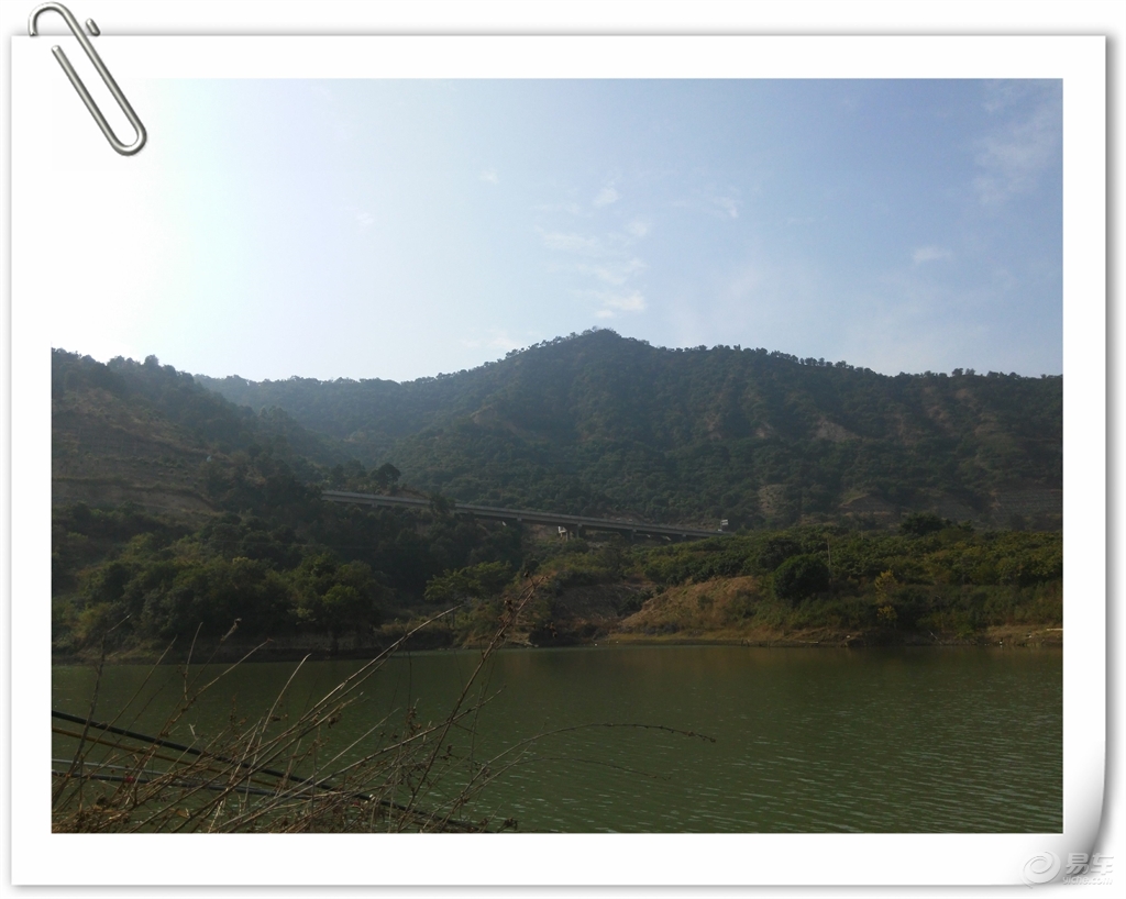 枸杞每天吃多少_人均每天用多少水(3)