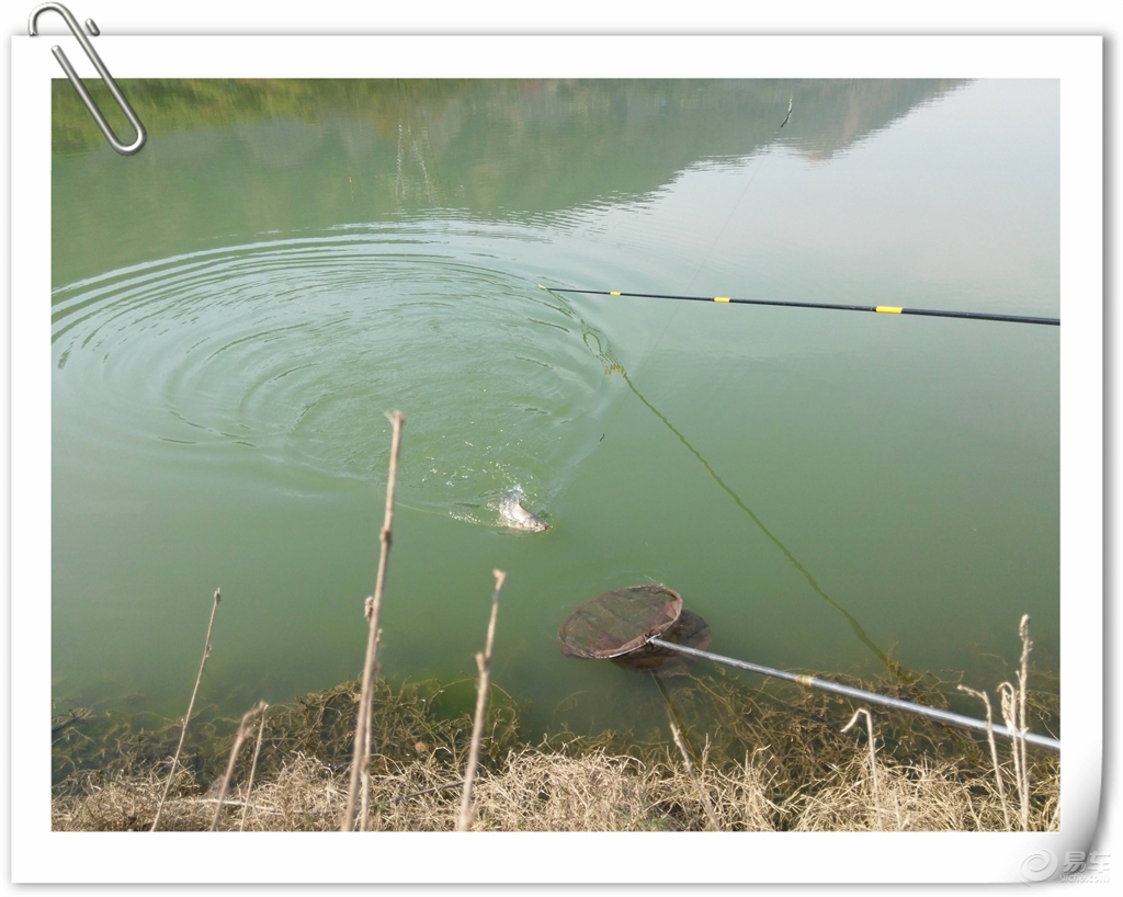 枸杞每天吃多少_人均每天用多少水(2)