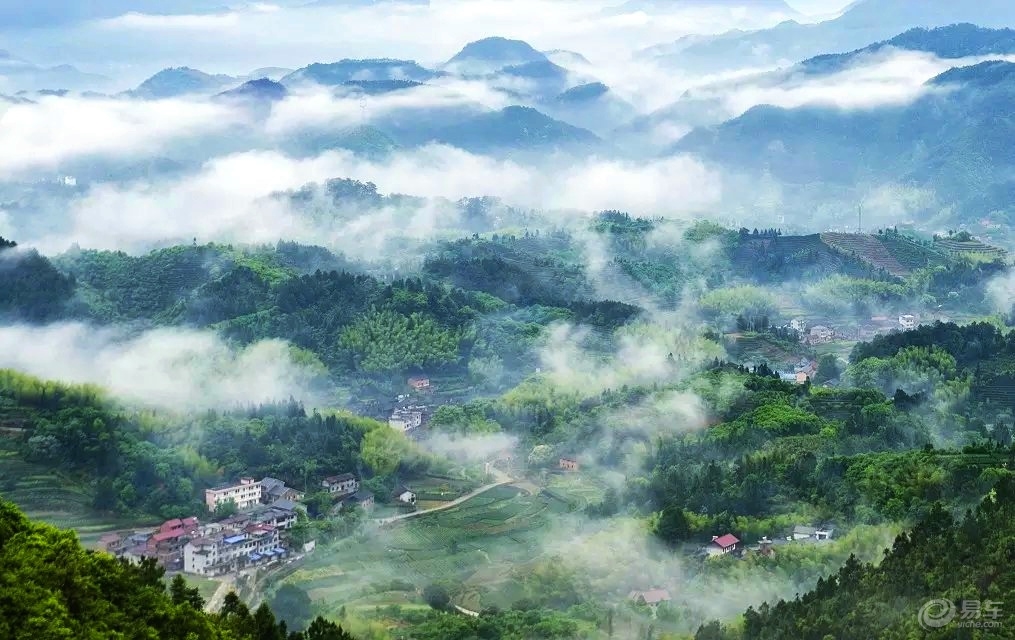 松阳县人口流入流出_松阳县太平坊(3)