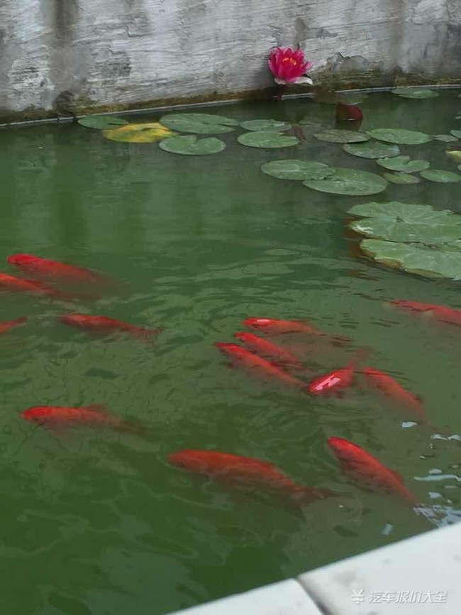 【帮忙参考:起亚K4跑滴滴打车如何】买车选车