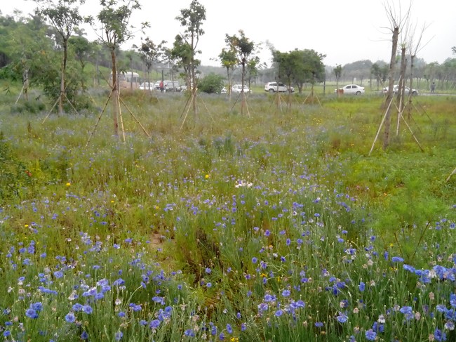 【偶遇穿越的室友】_福建车友会
