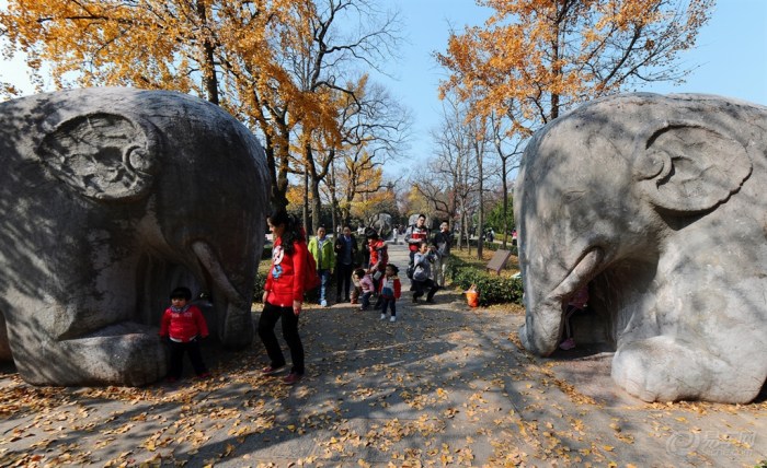 【分享下我最喜欢最满意的秋景作业】_广东车