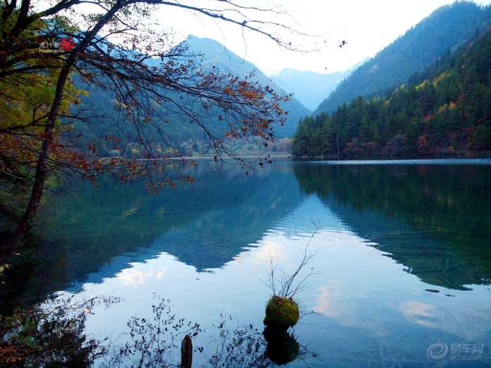 【【故乡的秋】金秋九寨】_摄影论坛