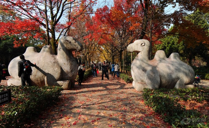 【分享下我最喜欢最满意的秋景作业】_广东车