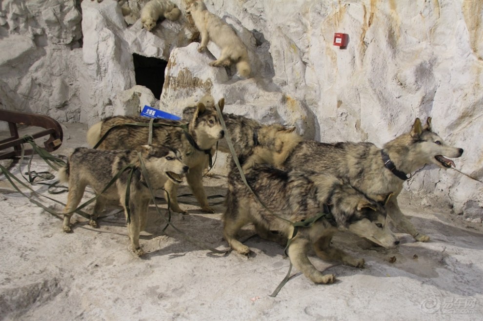 【西安曲江海洋馆和西安曲江海洋极地公园】_