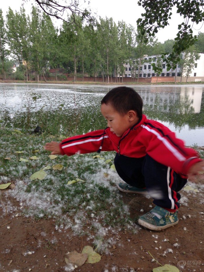 【【宝贝成长日记】130509 小行行大战杨絮】