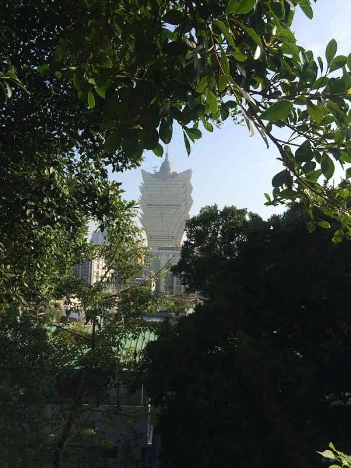 {何鸿燊的传奇故事}.