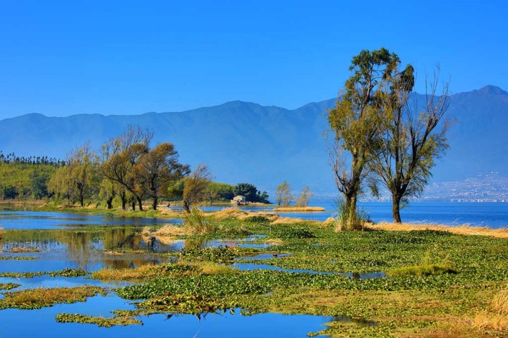 【美丽风景】云南论坛年会大理之洱海美景