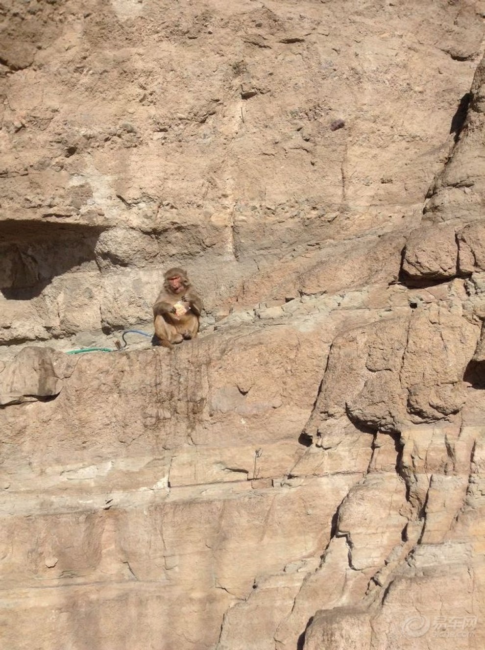 【双塔山的猴子】_长城C30论坛图片集锦