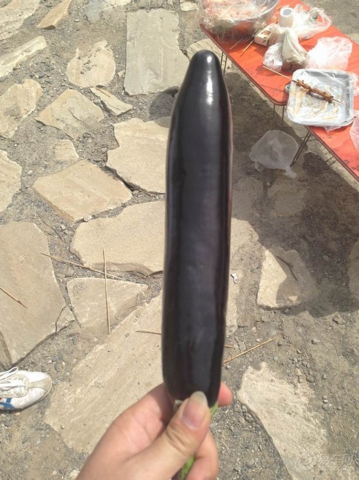 【【北京加州梦车友会】清明节一次自驾游河