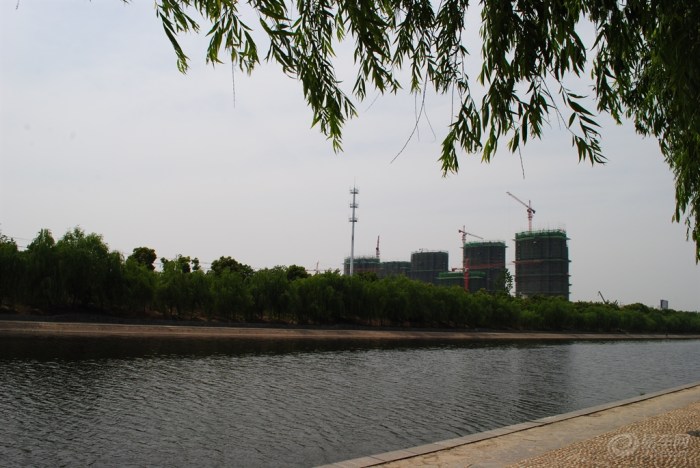 【健身走起河畔南端东岸观景道清风吹起垂柳依