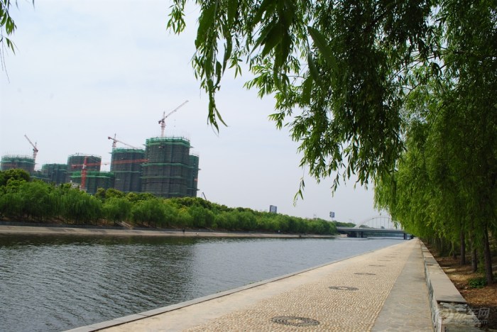 【健身走起河畔南端东岸观景道清风吹起垂柳依