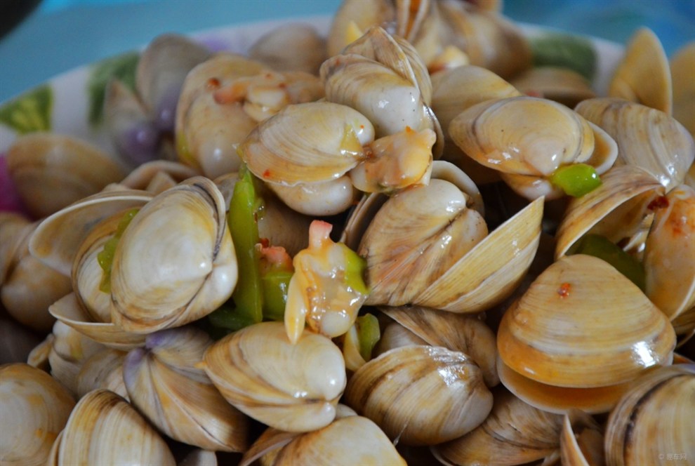 【【美味日志】辣炒白蛤子】_美食之旅论坛图片集锦_汽车论坛-易车网