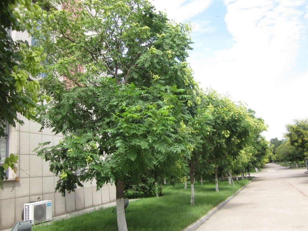 【【原创首发】菁菁学子,深深学府!--渤海大学