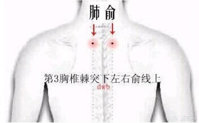 【肺俞穴的妙用】_福建车友会_汽车论坛-易车网
