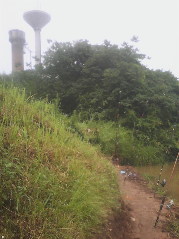 【钓鱼就像炒股一样,肯定不会每天都喂鱼的】