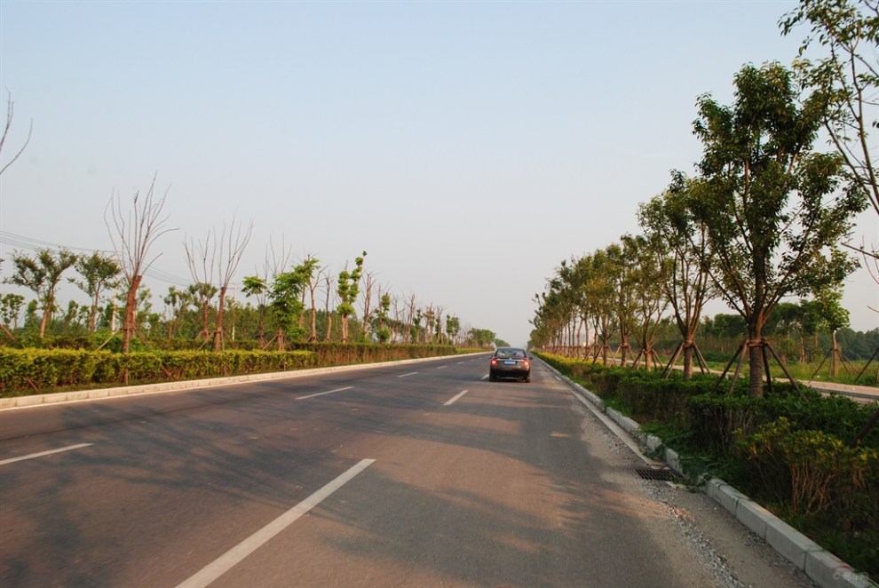 店忠路撮镇东段道路行记录风光景观