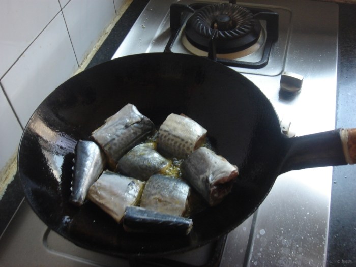 【【快乐厨艺第三季】酱炖燕霸鱼(荤)】_美食