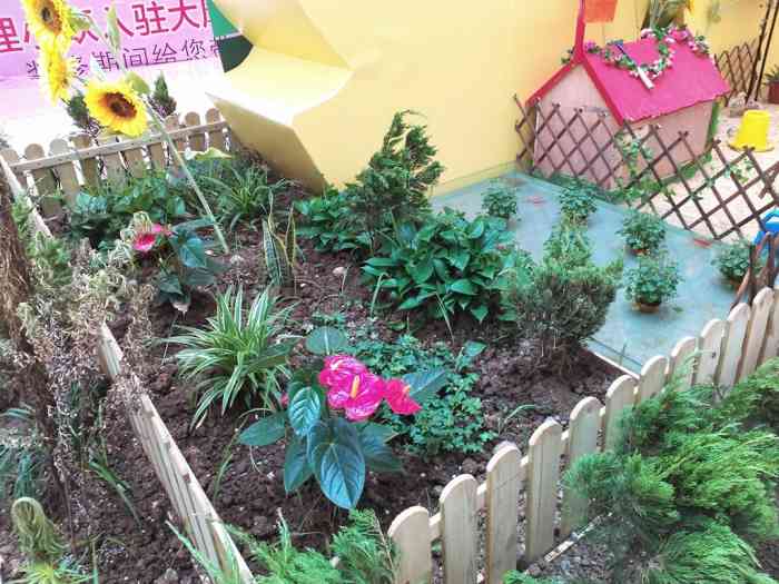 【微型农场】河北论坛论坛