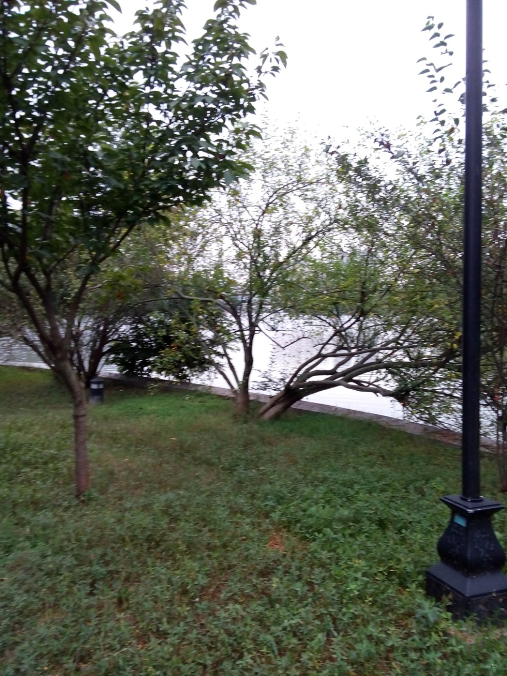 【长安一片月,万户捣衣声】_安徽论坛图片集锦