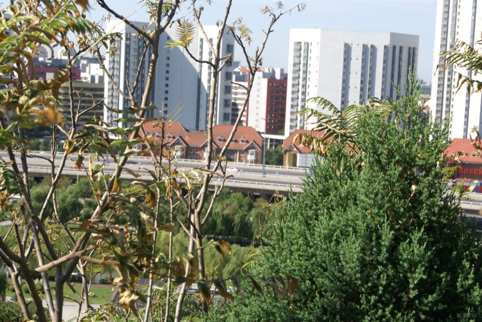 【中秋放假游天津南翠屏公园】_自驾游论坛图