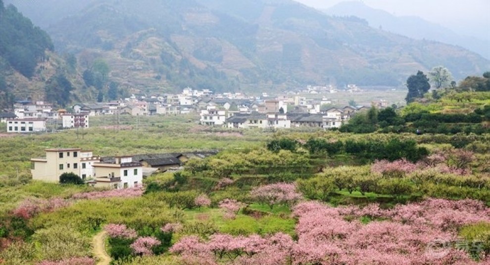 【水果之乡九峰山】_逍客论坛图片集锦