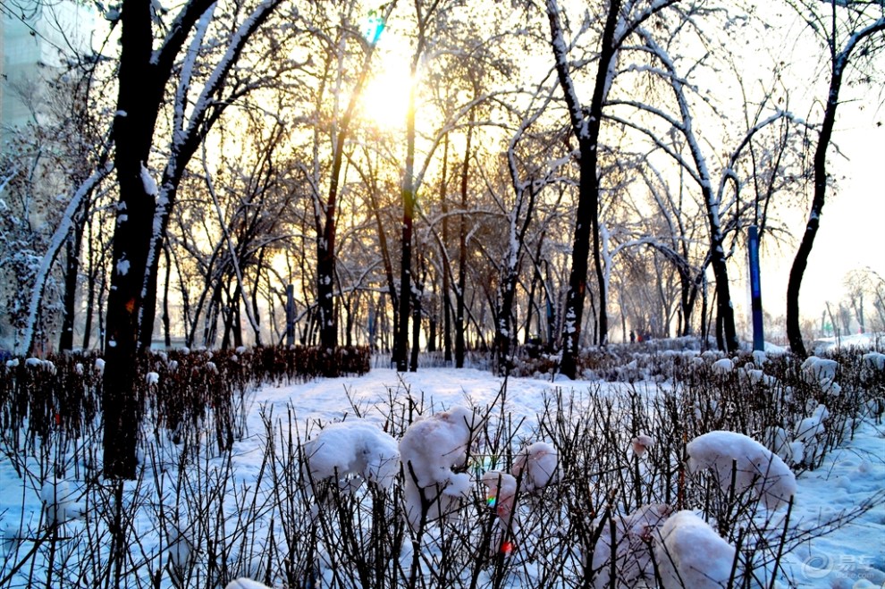 【【我眼中的冬日情怀】石河子景观河雪景】_
