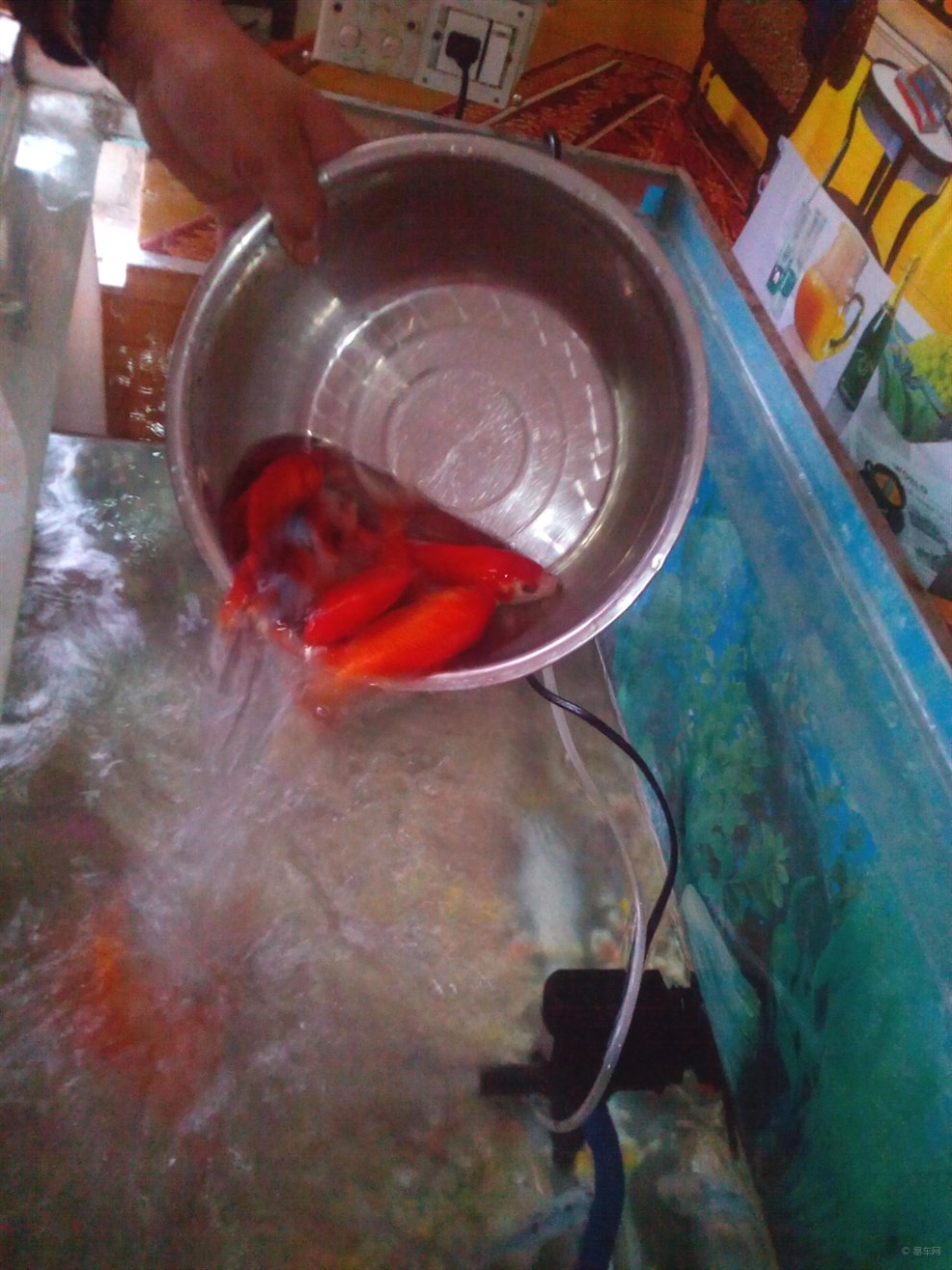 【鱼缸浑水】_长城C30论坛图片集锦_汽车论坛