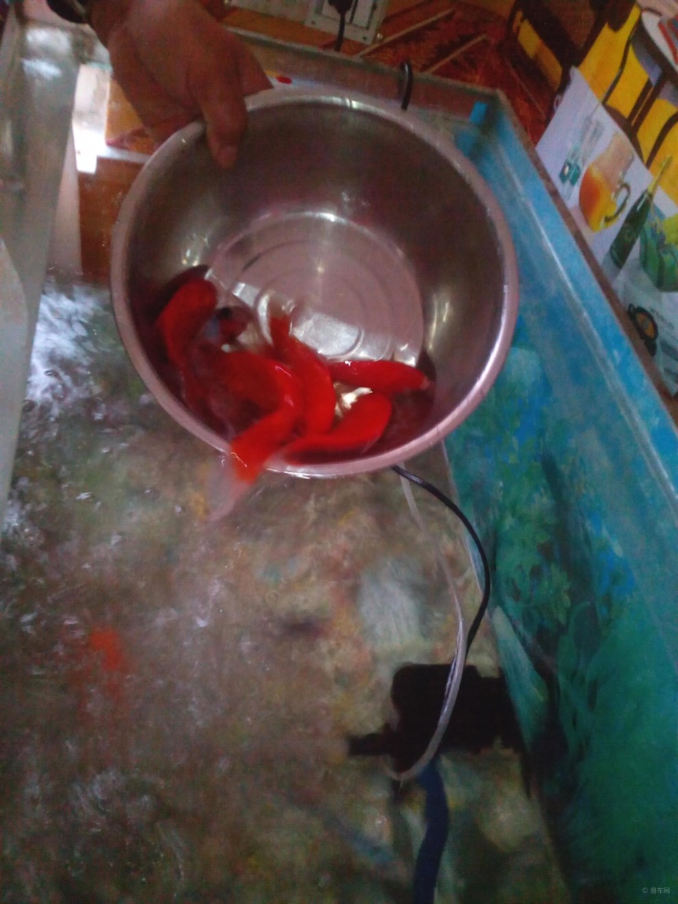 【鱼缸浑水】_长城C30论坛图片集锦_汽车论坛