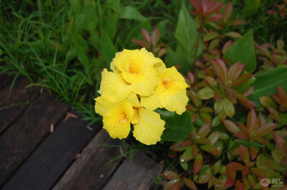 【高铁出游的吃处住处买处】_海马骑士论坛图