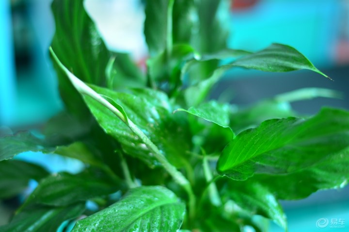 【71月3日,早上好!】_宝来论坛