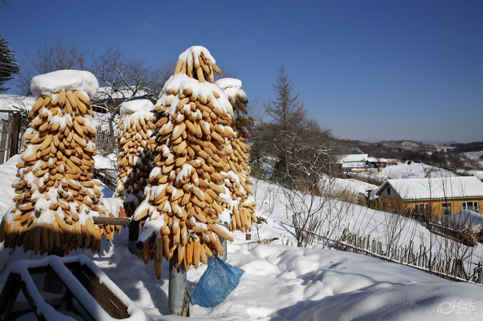 【【我眼中的冬日情怀】关东雪村·水墨松岭】