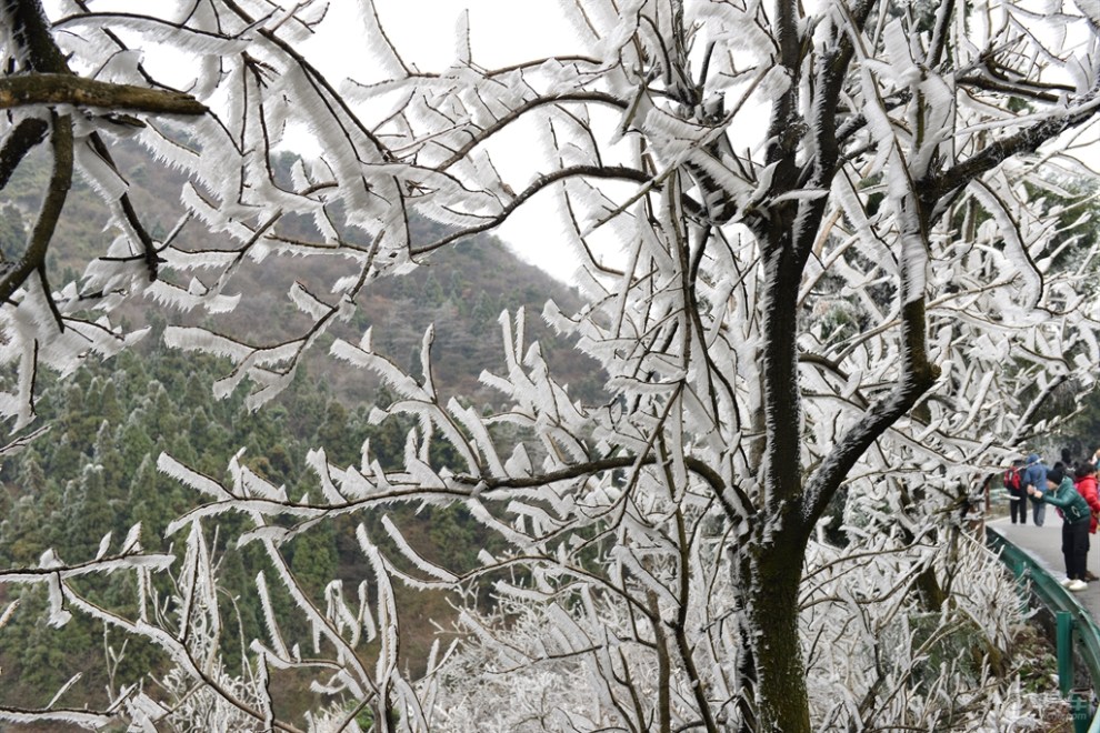 【【我眼中的冬日情怀】穿上洁白银装的衡山】