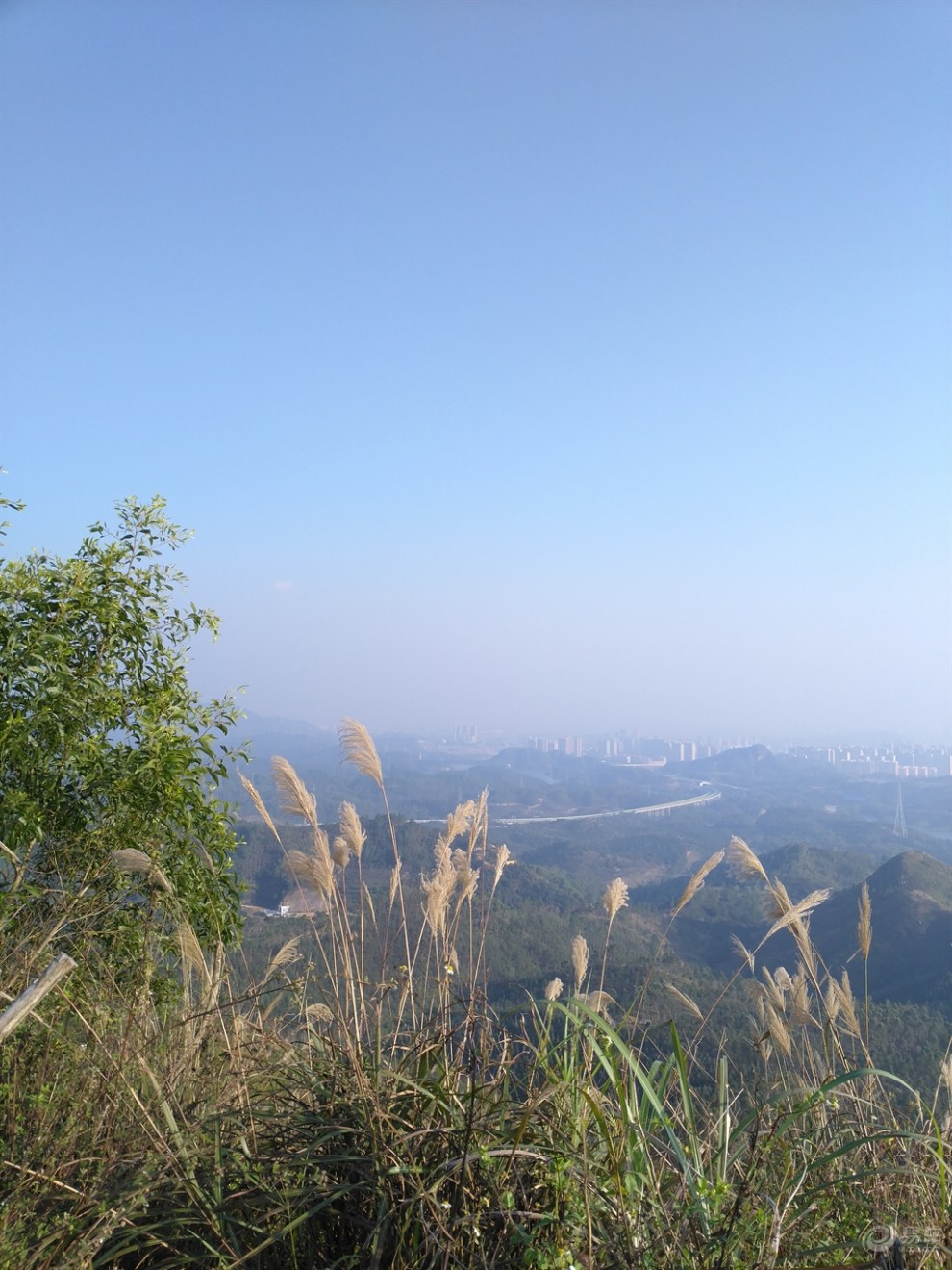 [深圳东部长安车友会] "逸"起游惠阳亚公顶森林公园