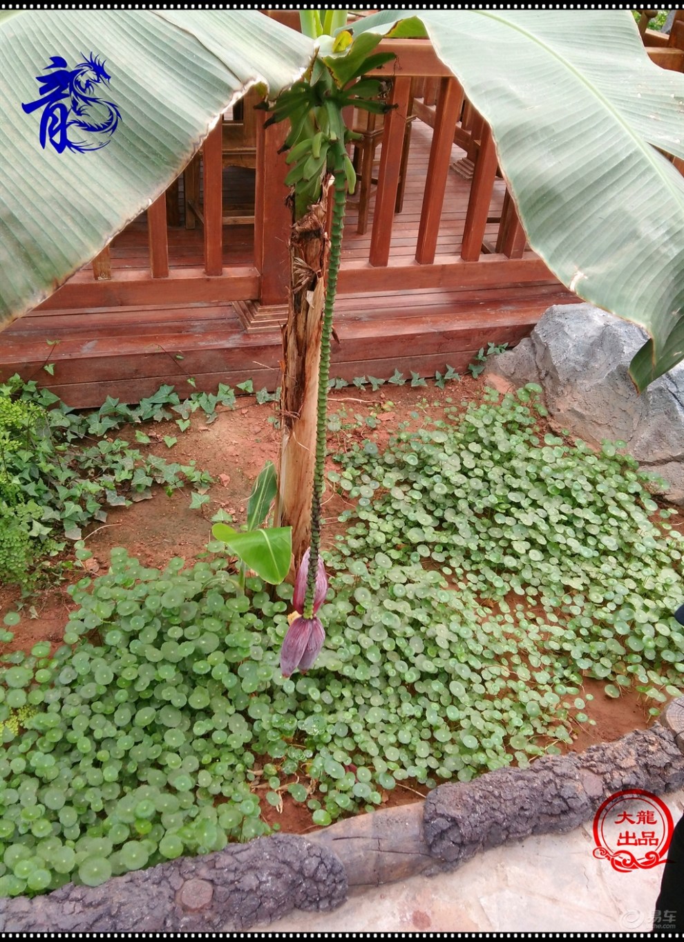 【【山东长安车友会】济宁分会年会地点考核】