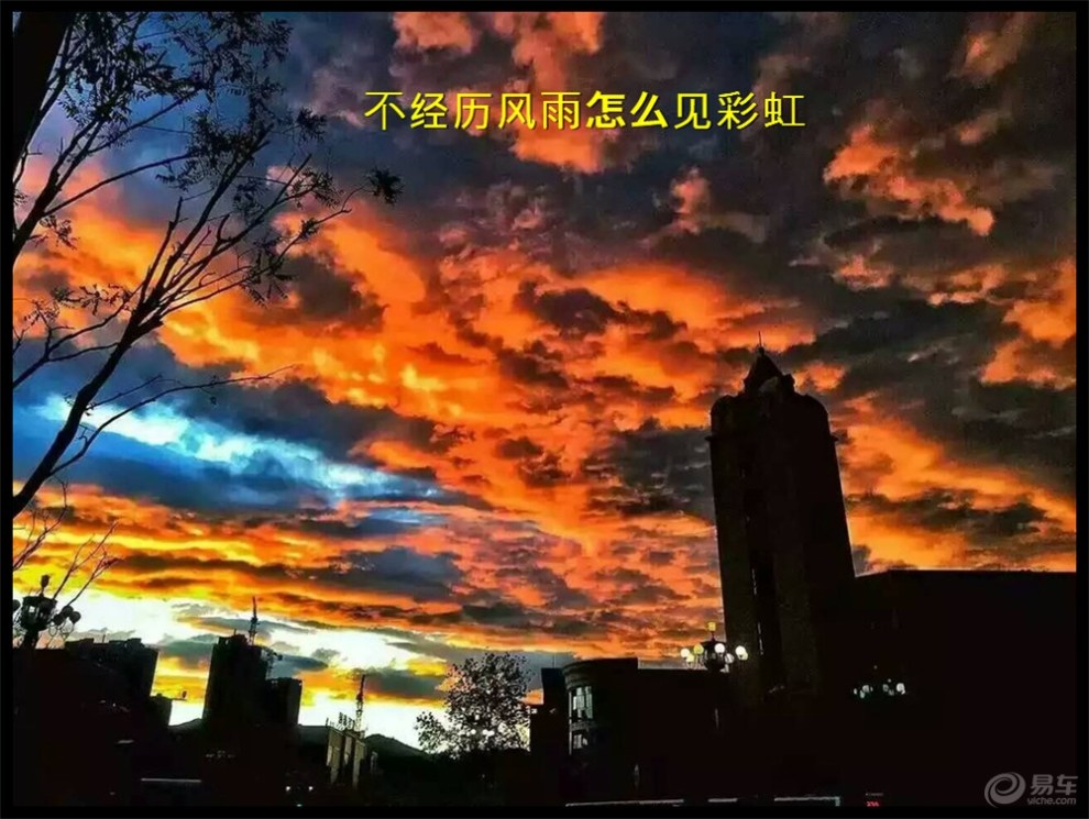 【【浙江长安车友会】风雨彩虹铿锵玫瑰】_悦