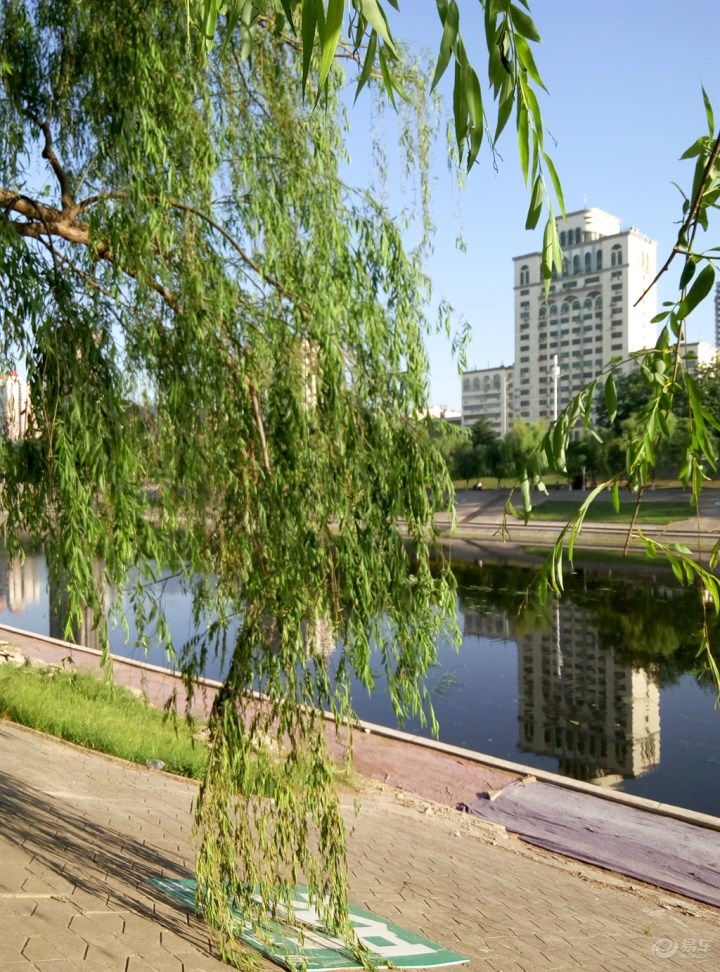 【【神韵原创首发】柳腰柔发】_河南车友会_