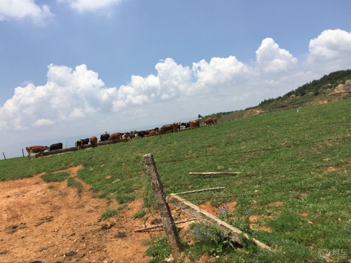 【朗目山不一样的山顶空气】_陆风X7论坛_汽