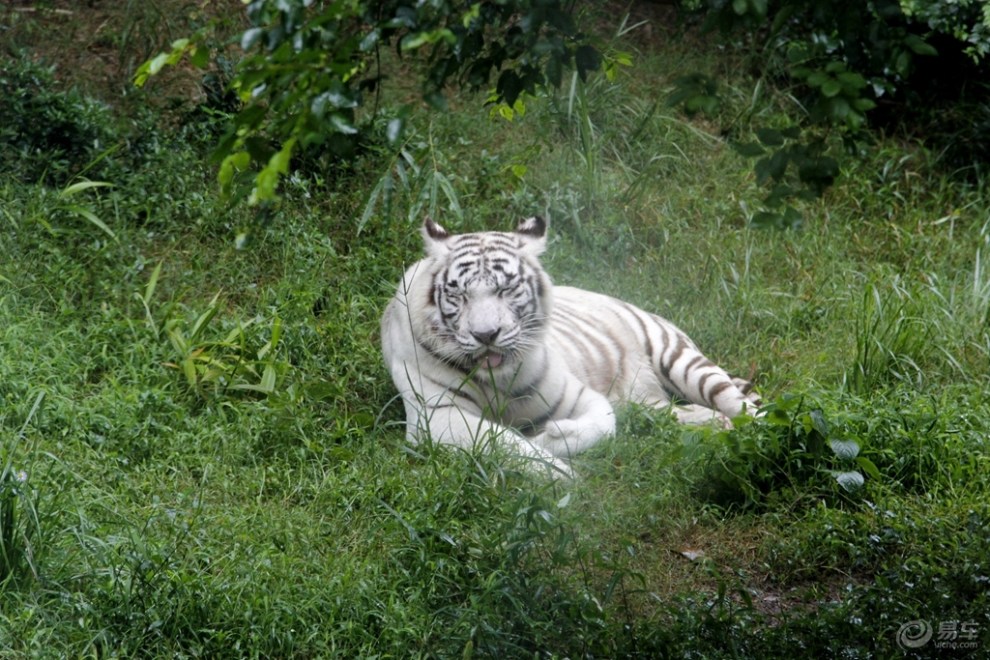 【永川动物园见闻】_贵州论坛图片集锦