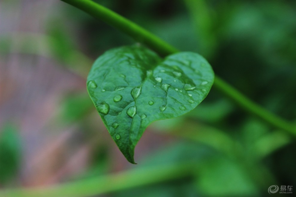 【雨后初晴 带你感受乡间的那份没有炎热的夏天】_汽车模型论坛图片集锦_汽车论坛-易车网