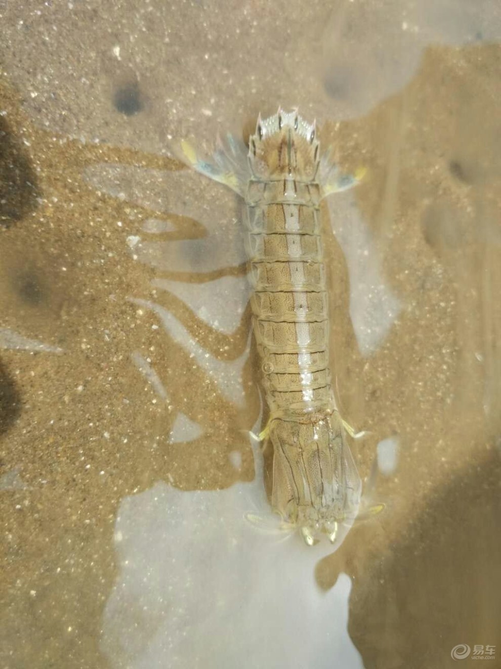【【易大奖,吉八月】酷热天气游北海 畅游大海