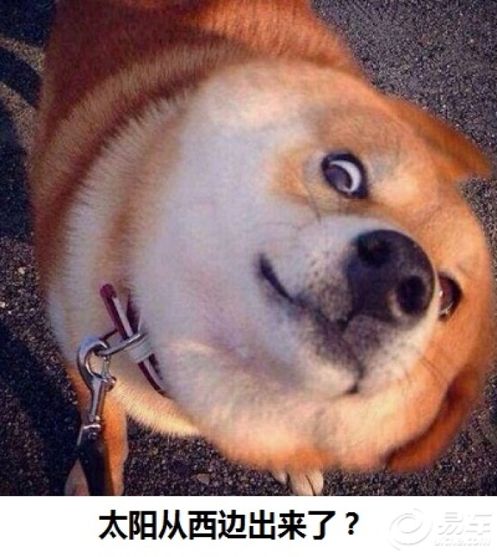 【3个男生住进了女生宿舍楼,最该紧张的难道不