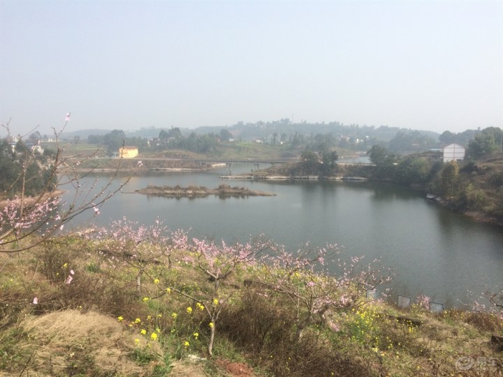 桃花岛景区