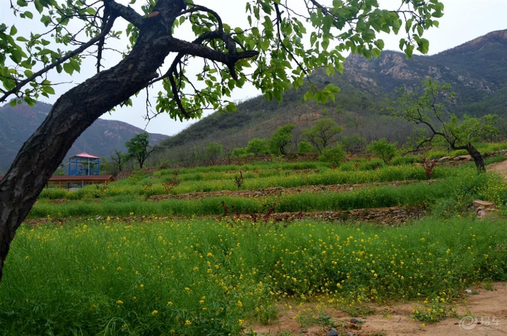 【【石家庄CS35车友会】游玩鹿泉常河常馨谷