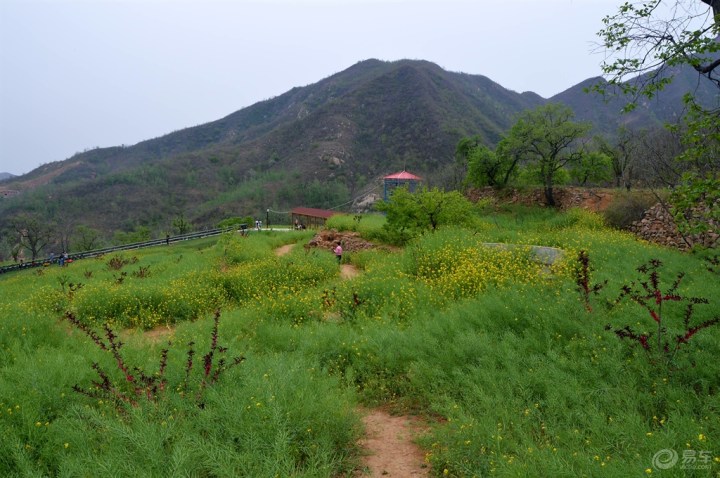 【【石家庄CS35车友会】游玩鹿泉常河常馨谷