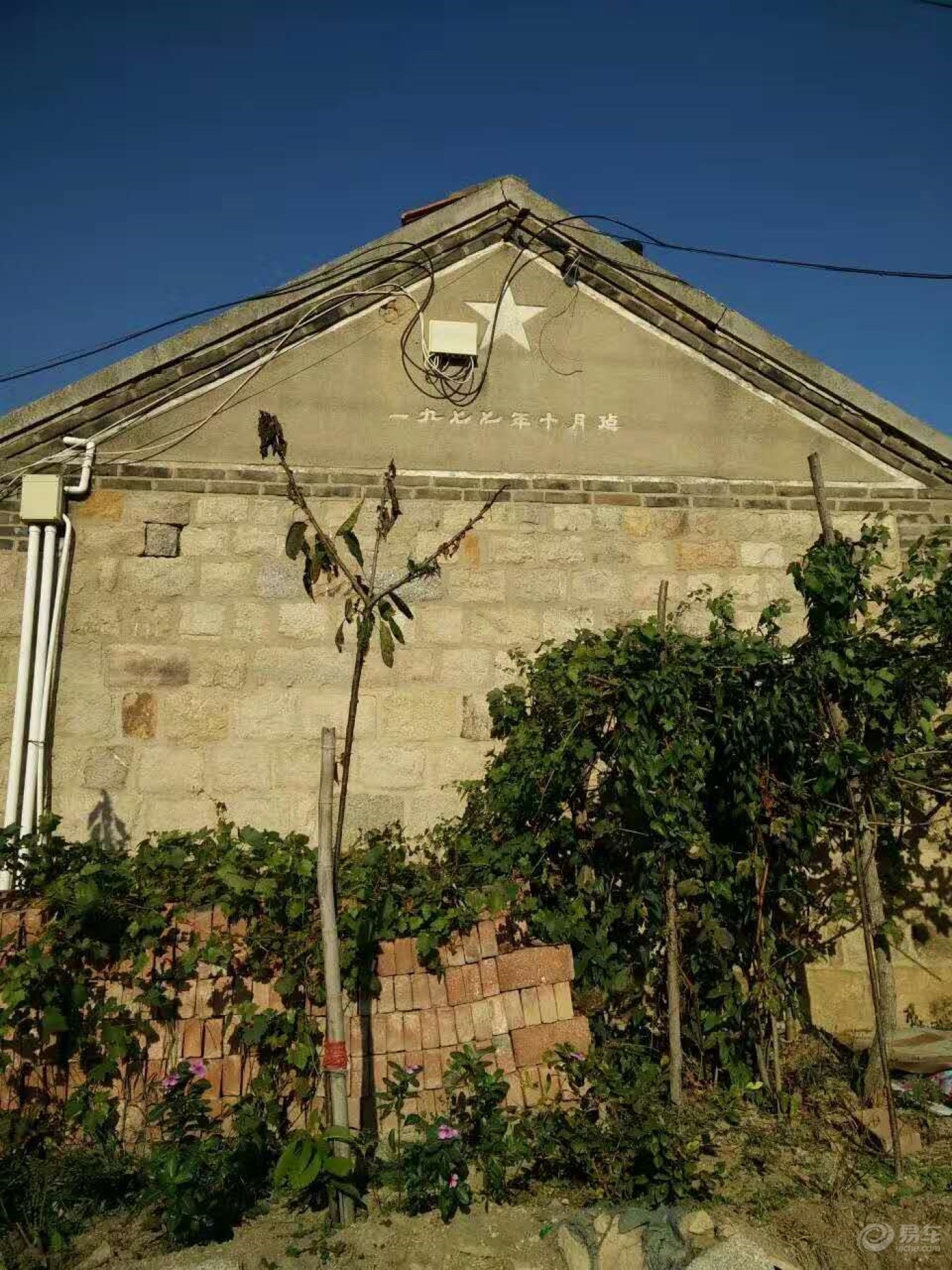 男人也是一朵花,也害怕风吹雨打-致我的爷爷