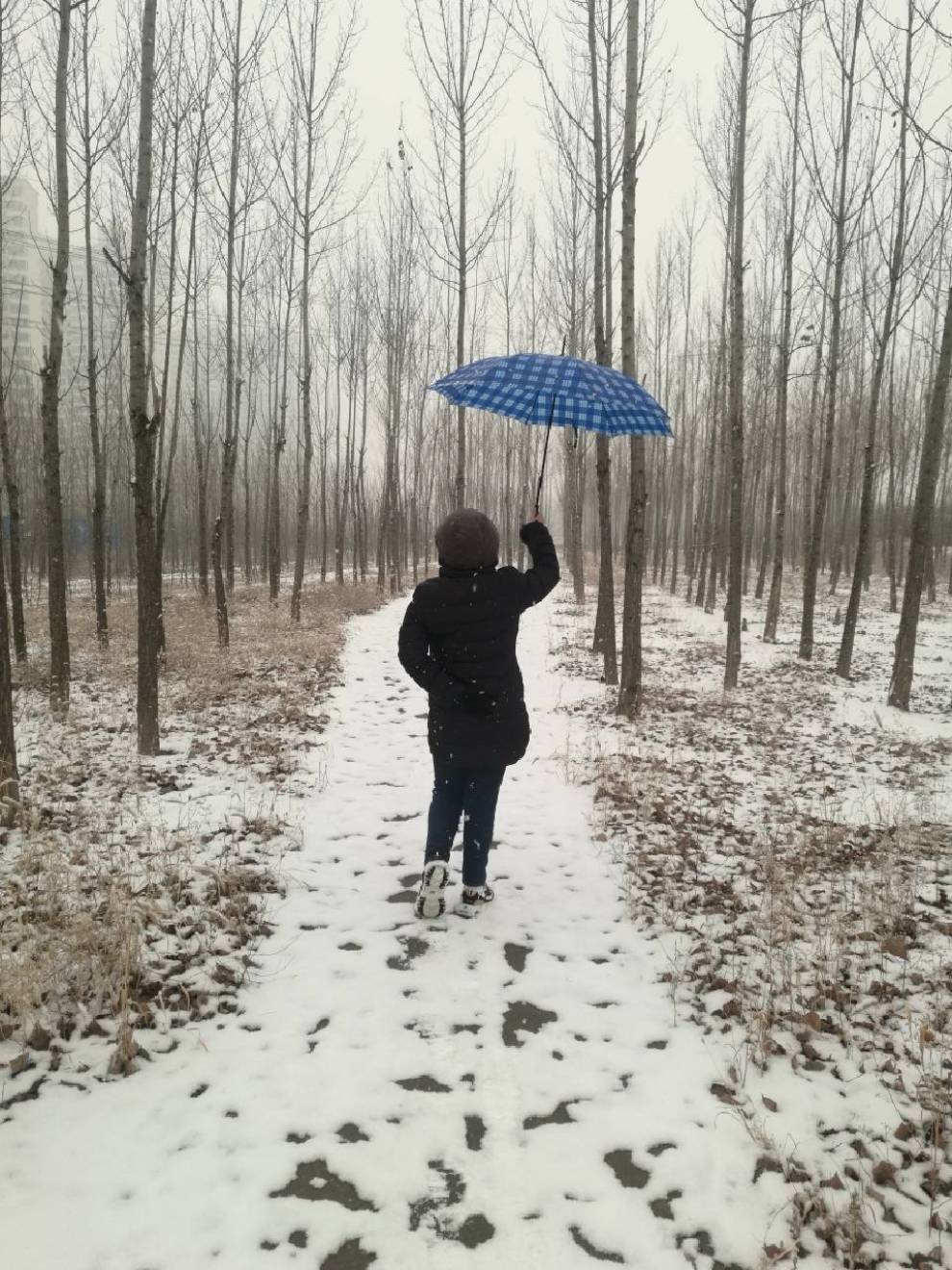 【雪之舞】_山西社区图片集锦